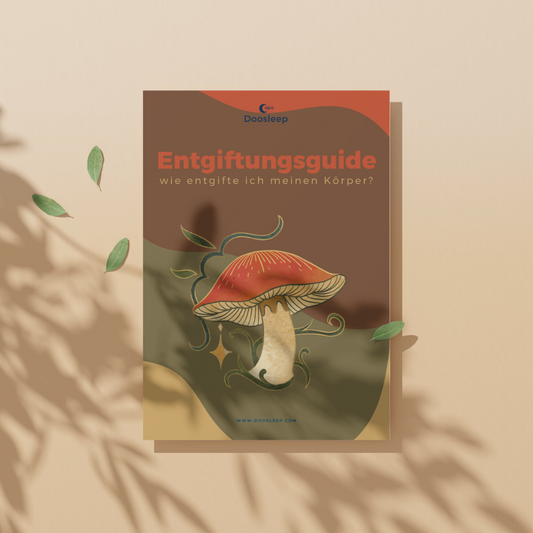 Guide: Körperentgiftung